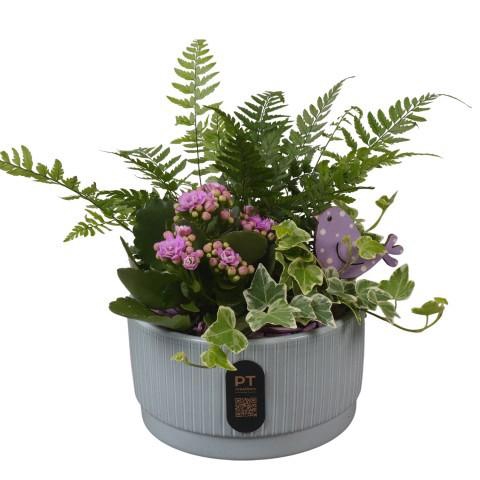 <h4>PTIB5114 Arrangement Indoor in keramiek schaal</h4>