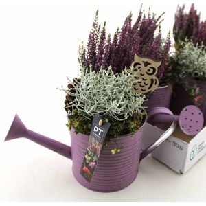 ARR TUINPLANTEN