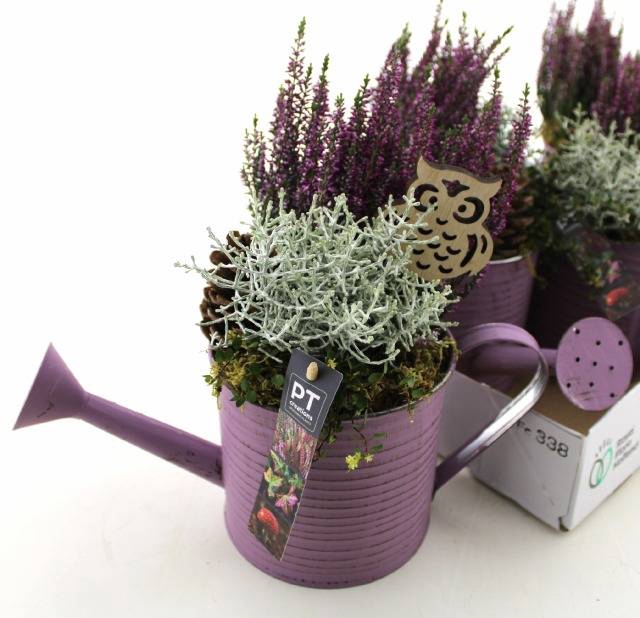 <h4>ARR TUINPLANTEN</h4>