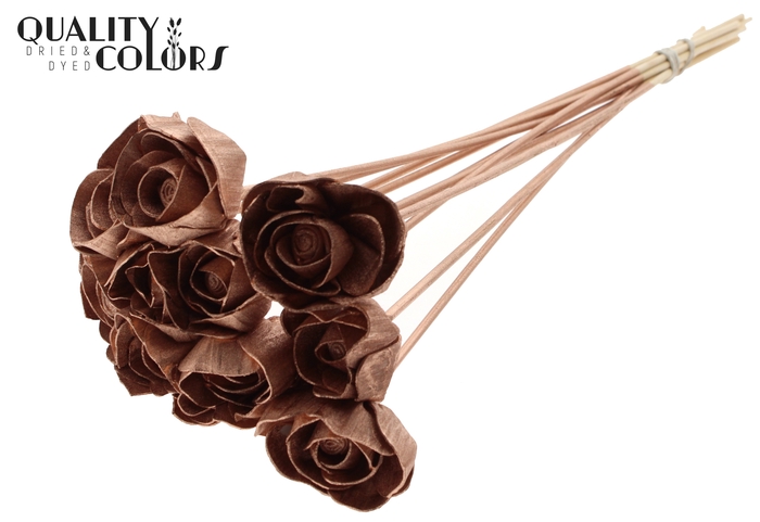 Shola Dear Holly 6cm on stem Copper