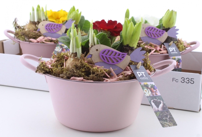 <h4>ARR PL IN SCHAAL</h4>