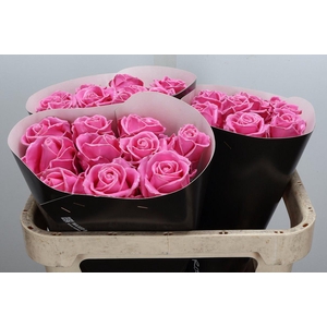 Wax-Rozen Wax Rose w7