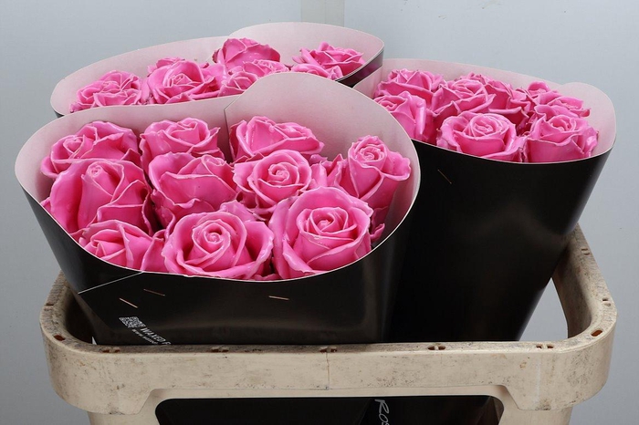 <h4>Wax-Rozen Wax Rose w7</h4>