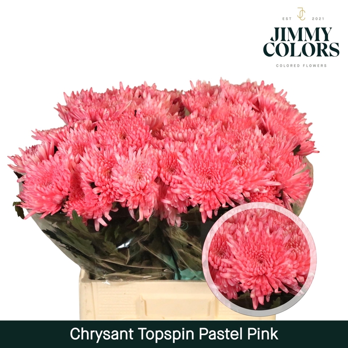 <h4>Chr G Topspin Pastel Pink</h4>