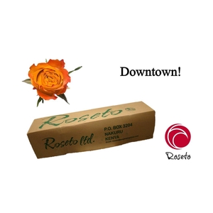 R Gr Downtown! (boxes!)