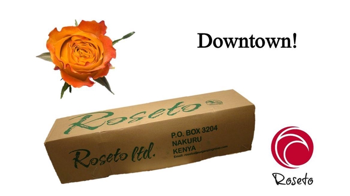 <h4>R Gr Downtown! (boxes!)</h4>