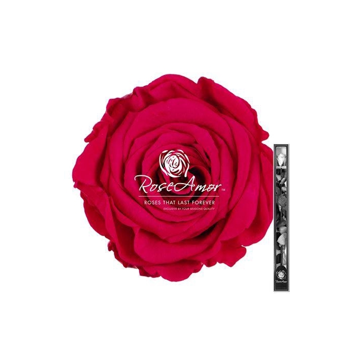 <h4>60cm Stem Pin03</h4>