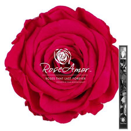 60cm Stem Pin03