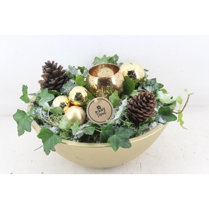 arr2 PL - Gold ebbi schaal 1 bolwax