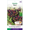 Aronia prunifolia