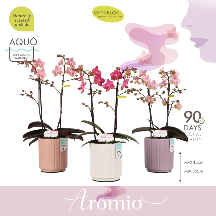 <h4>Aromio Mix 2 spike in Molise Mix Aquo</h4>