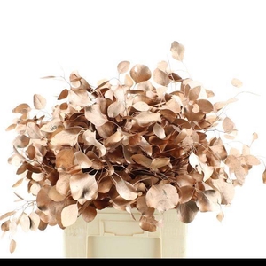 EUC POL KLB P BOS H%