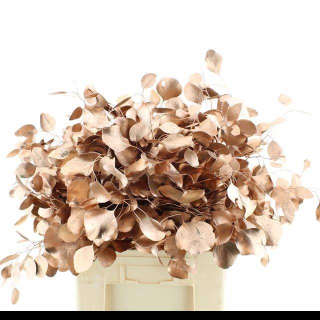 <h4>EUC POL KLB P BOS H%</h4>