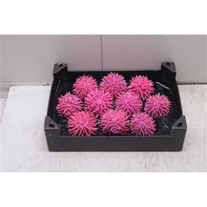 F-stekel Topline Pink Roze