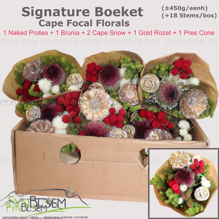 <h4>PROTEA PER BOS</h4>