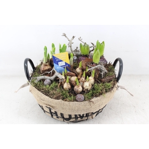 arr4 Bollenmix MB - Draadmand laag home