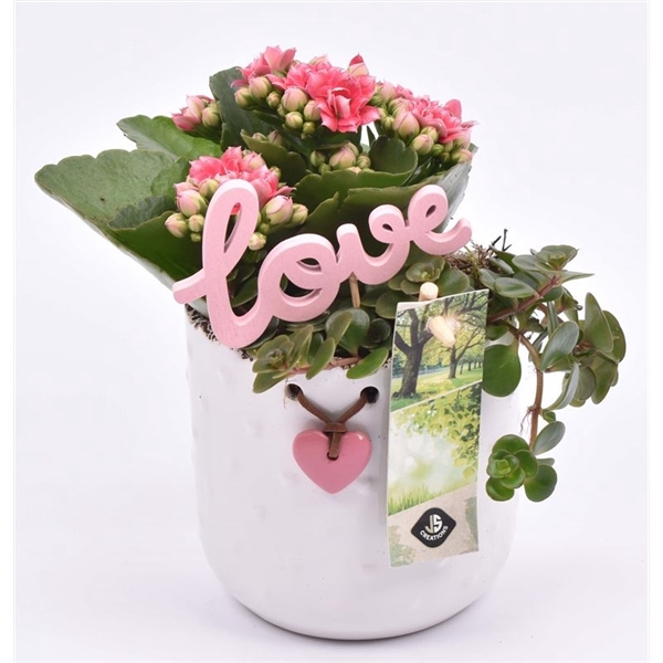 <h4>Keramiek pot met hartje 11CM</h4>