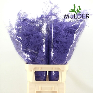 Asp Klb H% L. Getopt Milka