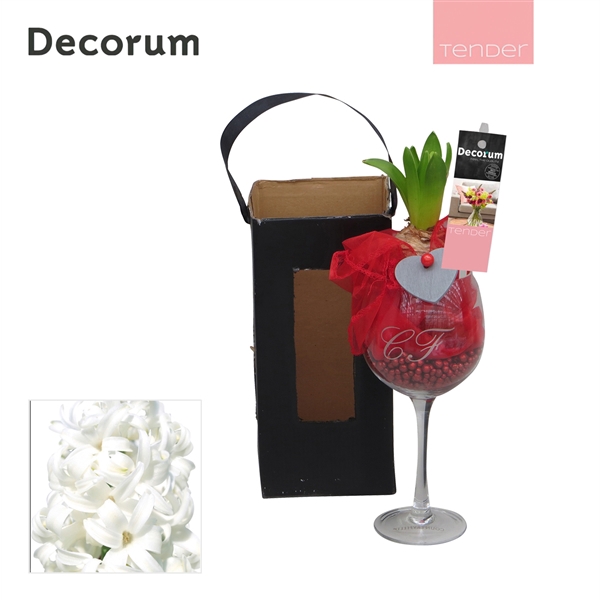 <h4>Arrangementen Hyacinthus 6%</h4>