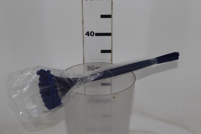 <h4>PLANTA SECA BOTAO BRANCO DESIDRATADO AZUL</h4>