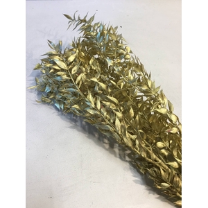 DRIED FLOWERS - RUSCUS GOLD 5PCS