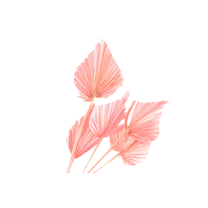 Palm Spear Pink