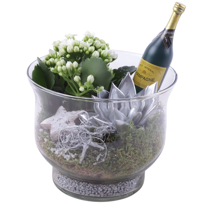 <h4>New Year Arr. Indoor Glass Tulip Vase Ø16cm 2PP</h4>