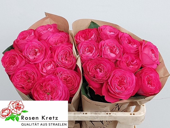 <h4>R GR GIRLFRIEND</h4>