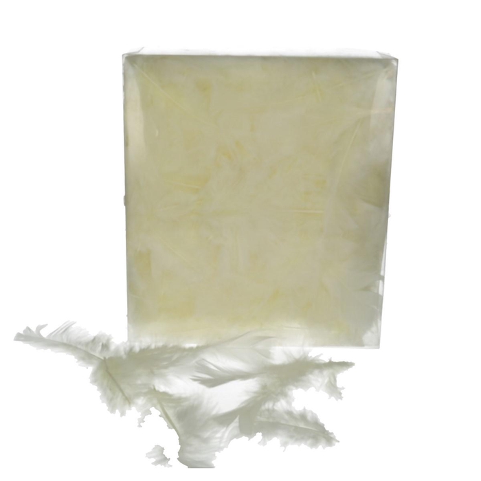 <h4>Feathers Turkey 45g</h4>