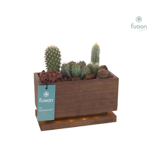 The Lighting Garden LED lang donker bruin Small met Cactussen