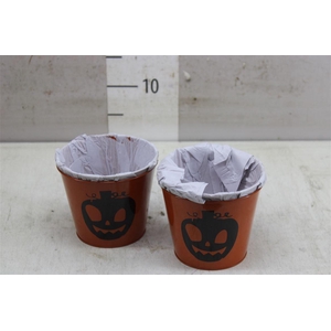 Pot Zink Pumpkin