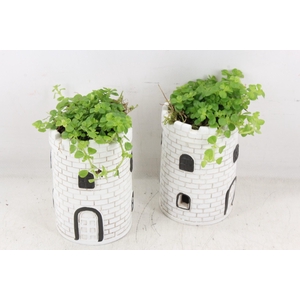 arr3 SN - Lighthouse tower wit