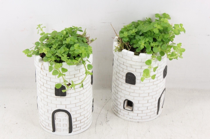 <h4>arr3 SN - Lighthouse tower wit</h4>