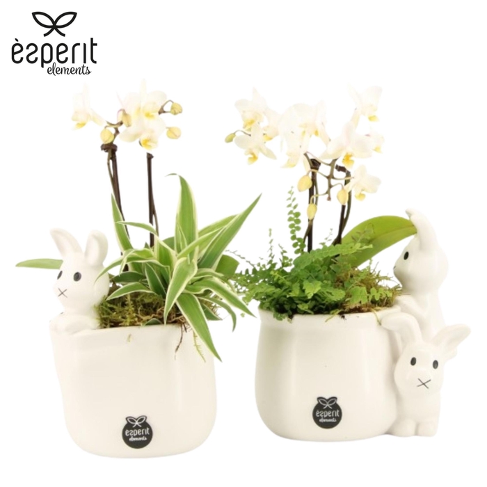 <h4>70825: Easter arrangement</h4>