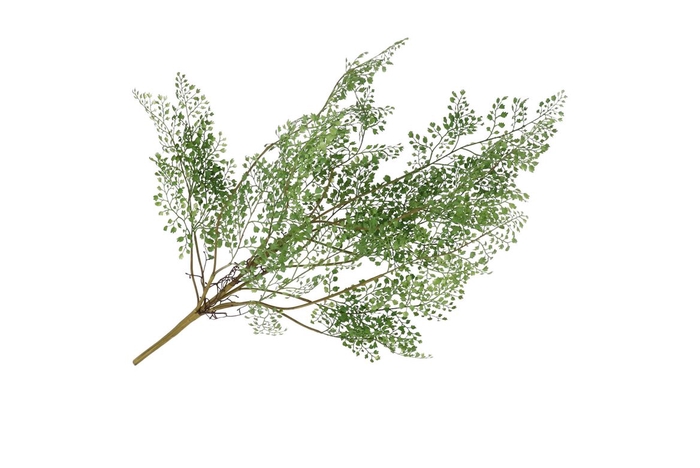 Silk Fern Maiden Hair Plant Green 77cm