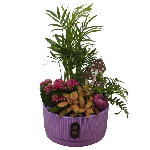 <h4>PTHI3215 Arrangement Autumn Indoor in keramiek schaal</h4>