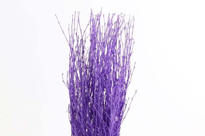 <h4>Berk Klb Lavender</h4>