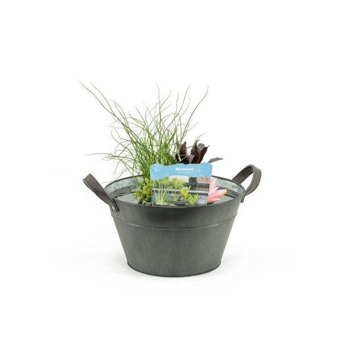 <h4>Terrasvijver zink old grey inc.mand</h4>