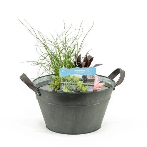 Terrasvijver zink old grey inc.mand