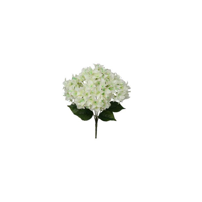 <h4>Bunch Bougainvillea L46W24H24</h4>