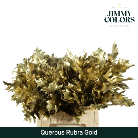 <h4>Quercus Rubra L60 Mtlc. Goud</h4>