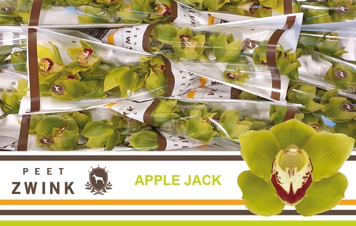 <h4>CYMB T APPLE JACK</h4>