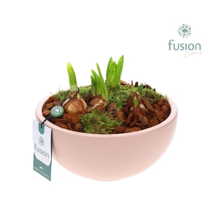 Schaal keramiek Moon Large blush pink met Bollen