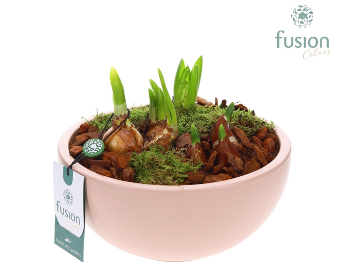 <h4>Schaal keramiek Moon Large blush pink met Bollen</h4>