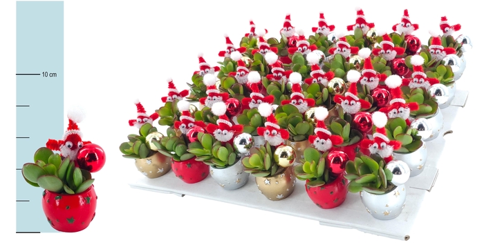 <h4>ARR KERST</h4>