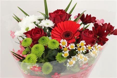 <h4>Boeket Roos Kl Rood</h4>