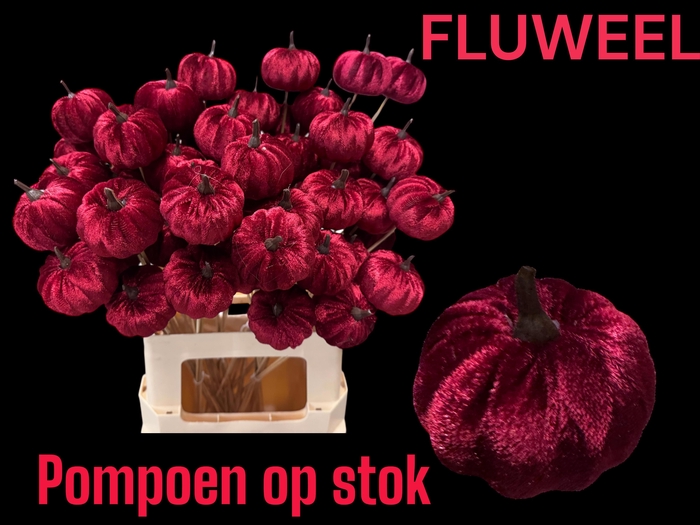 <h4>HUIS EN TUINDECO H%</h4>
