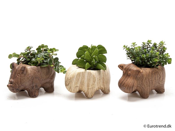 E 2106  dyremix i træ look