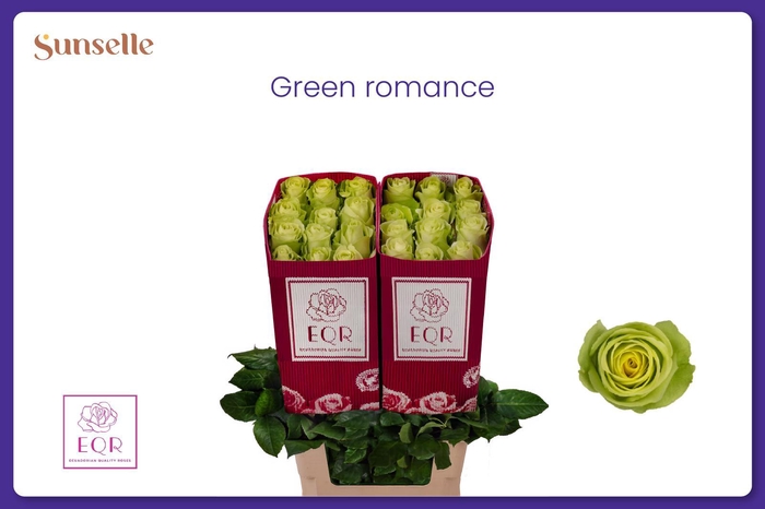 <h4>R GR GREEN ROMANCE</h4>