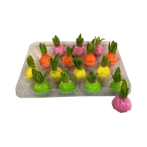 HYACIN WAX SPRING MIX